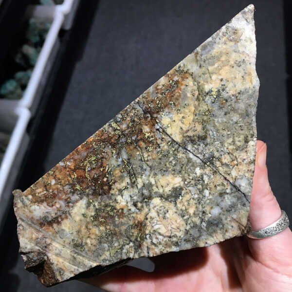 A 2.60 pound piece of Breccia de Oro rough rock. Pictured wet, in hand, side one of six sides.