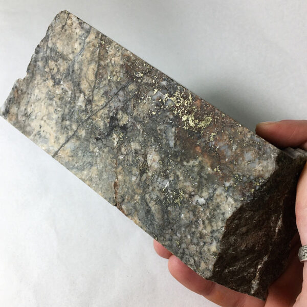 A 2.60 pound piece of Breccia de Oro rough rock. Pictured dry, side two of five sides.