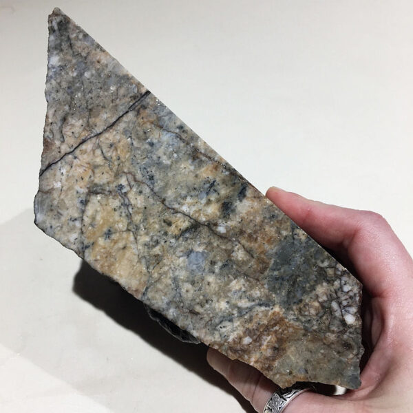 A 2.60 pound piece of Breccia de Oro rough rock. Pictured wet, side three of five sides.