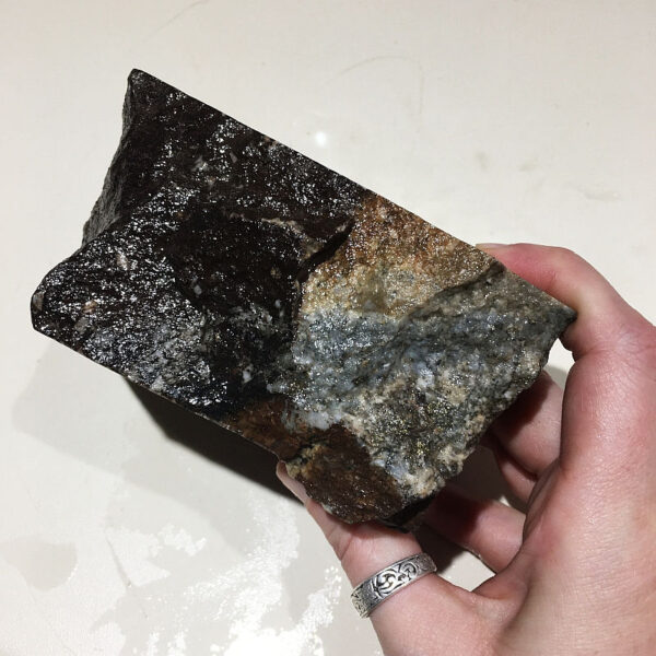 A 2.60 pound piece of Breccia de Oro rough rock. Pictured wet, side four of five sides.