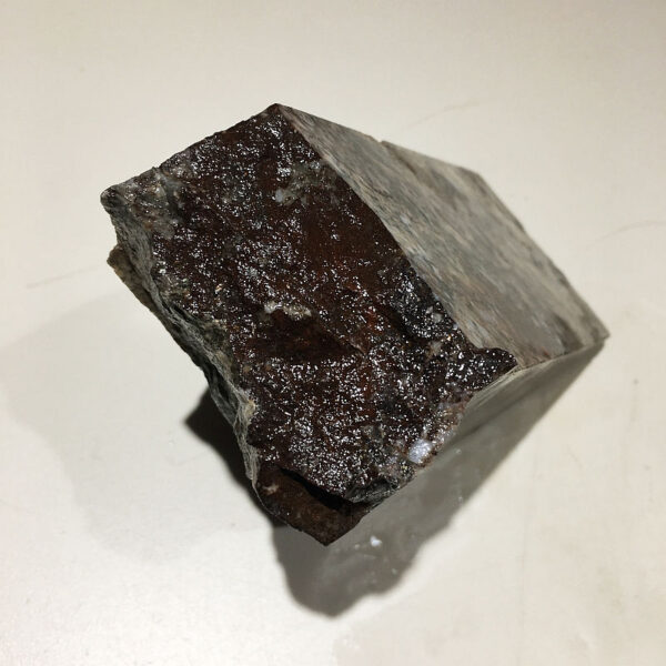 A 2.60 pound piece of Breccia de Oro rough rock. Pictured wet, side five of five sides, standing on a table.