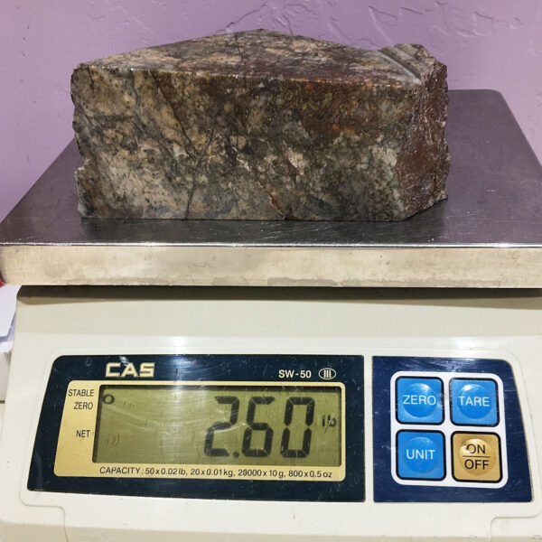 A piece of Breccia de Oro rough rock with three cut faces on a scale. The piece weighs 2.60 pounds.