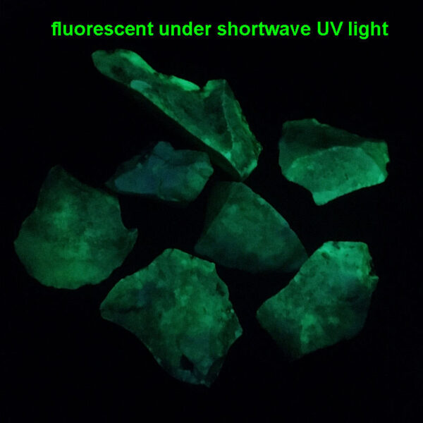 Seven pieces of Common Opal rough rock glowing a bright fluorescent green under shortwave UV light.