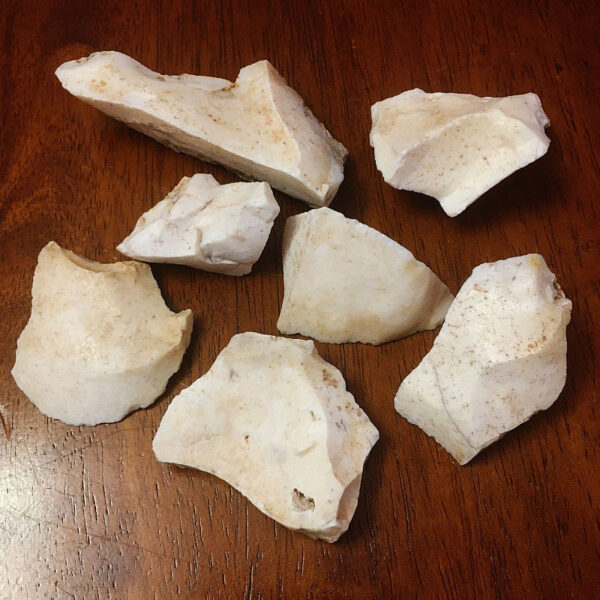 Seven pieces of white Common Opal pictured under regular room light.