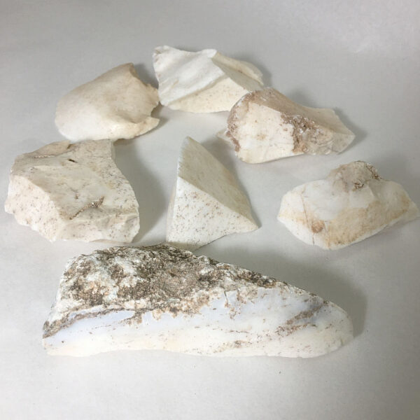 Seven pieces of white Common Opal rough rock on a white seamless background.