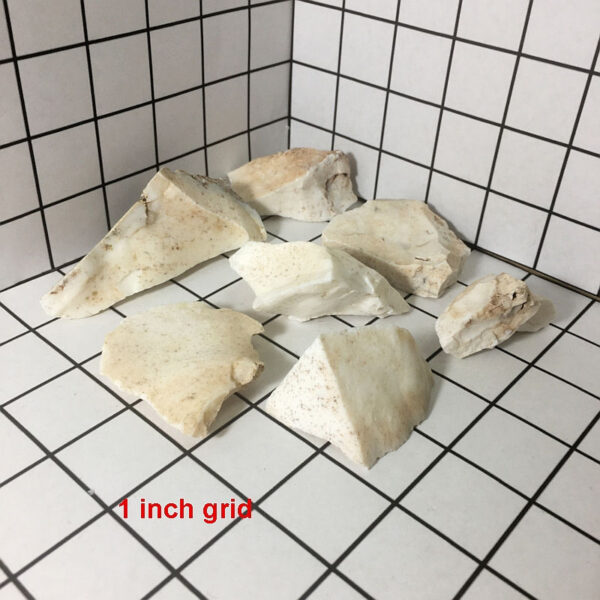 Seven pieces of white Common Opal rough rock on a one inch grid. The pieces range in size from two to four inches.