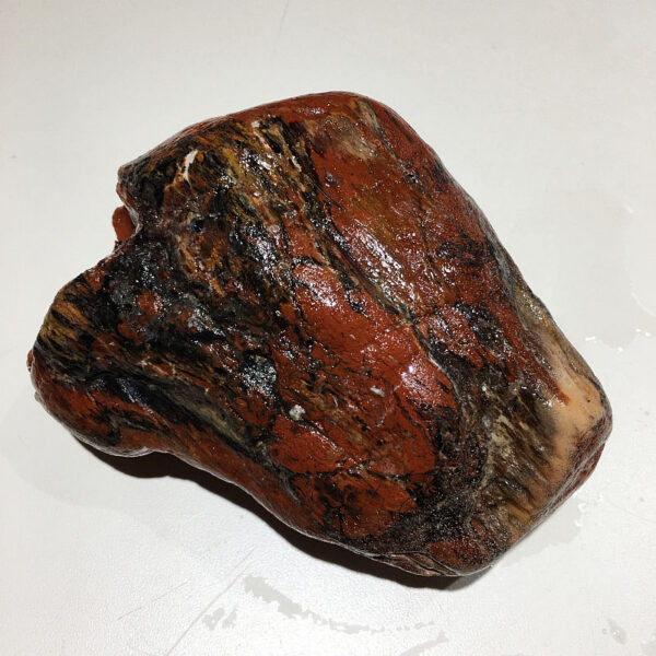 3.24 pound piece of Arizona Petrified Wood rough rock. pictured wet. Side two of six sides.