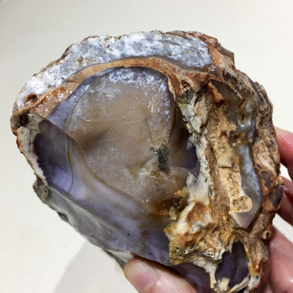 2.58 pound piece of Purple Burro Jasper rough rock, pictured wet. Side two of six sides.