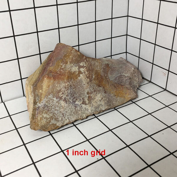 1.52 pound piece of Mexican Rhyolite rough rock pictured on a one inch grid. Piece measures approximately 6.5 by 3 by 2.25 inches