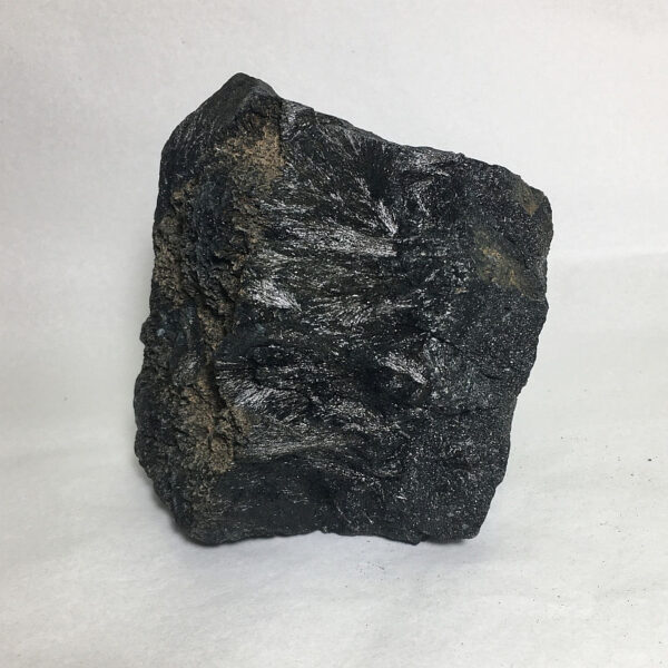 3.08 pound piece of Velvet Black Tourmaline rough rock pictured on a white seamless background.