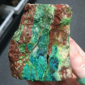 1.02 pound piece of Silicated Parrot Wing Chrysocolla rough rock, pictured wet. Side one of six sides.