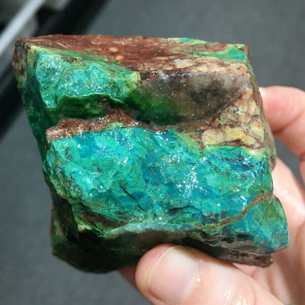 1.02 pound piece of Silicated Parrot Wing Chrysocolla rough rock, pictured wet. Side two of six sides.