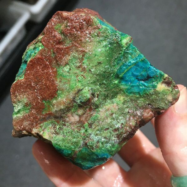 1.02 pound piece of Silicated Parrot Wing Chrysocolla rough rock, pictured wet. Side three of six sides.