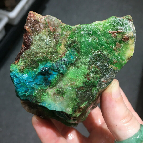 1.02 pound piece of Silicated Parrot Wing Chrysocolla rough rock, pictured wet. Side four of six sides.