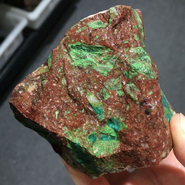 1.02 pound piece of Silicated Parrot Wing Chrysocolla rough rock, pictured wet. Side five of six sides.