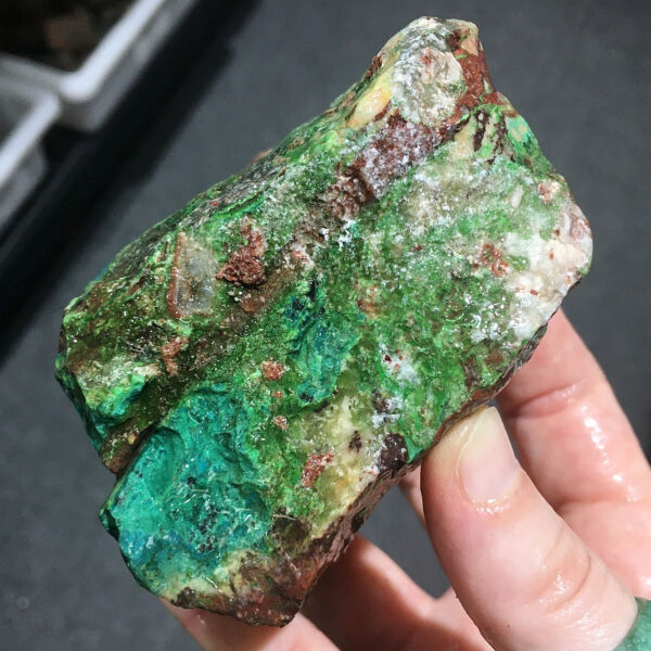 1.02 pound piece of Silicated Parrot Wing Chrysocolla rough rock, pictured wet. Side six of six sides.