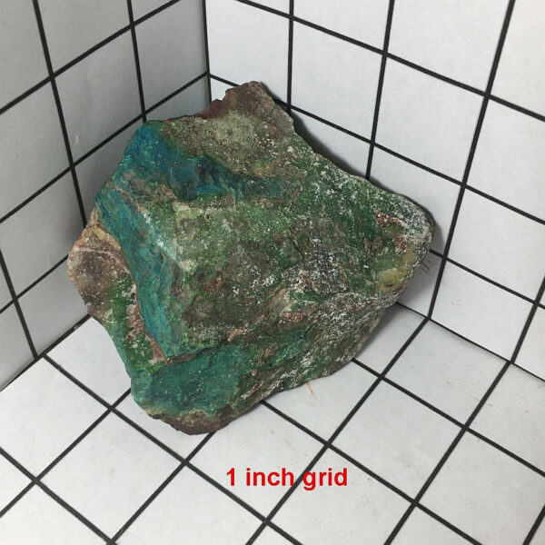 1.02 pound piece of Silicated Parrot Wing Chrysocolla rough rock pictured on a one inch grid. Piece measures approximately 3 by 2.75 by 2.25 inches