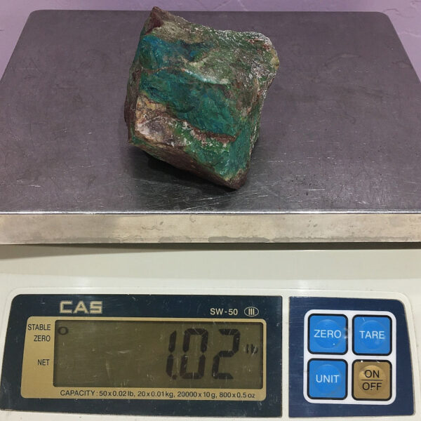 A piece of Silicated Parrot Wing Chrysocolla rough rock pictured on a scale. Piece weighs 1.02 pounds.