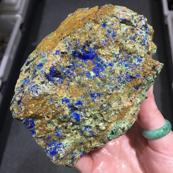 1.84 pound piece of Spotted Azurite rough rough, pictured wet. Side two of five sides.