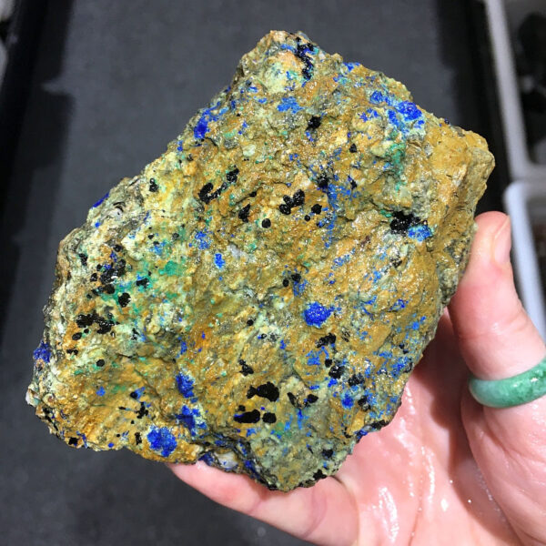 1.84 pound piece of Spotted Azurite rough rough, pictured wet. Side three of five sides.