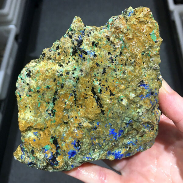 1.84 pound piece of Spotted Azurite rough rough, pictured wet. Side four of five sides.