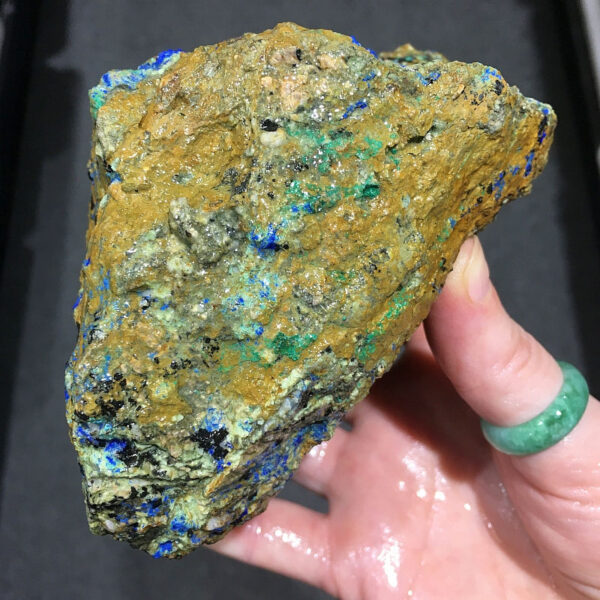 1.84 pound piece of Spotted Azurite rough rough, pictured wet. Side five of five sides.