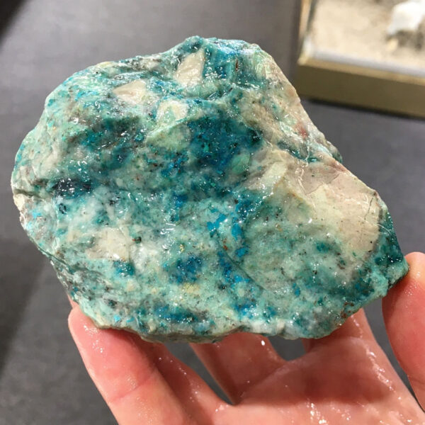 0.70 pound piece of Teal Turq Rhyolite rough rock, pictured wet. Side three of five sides.