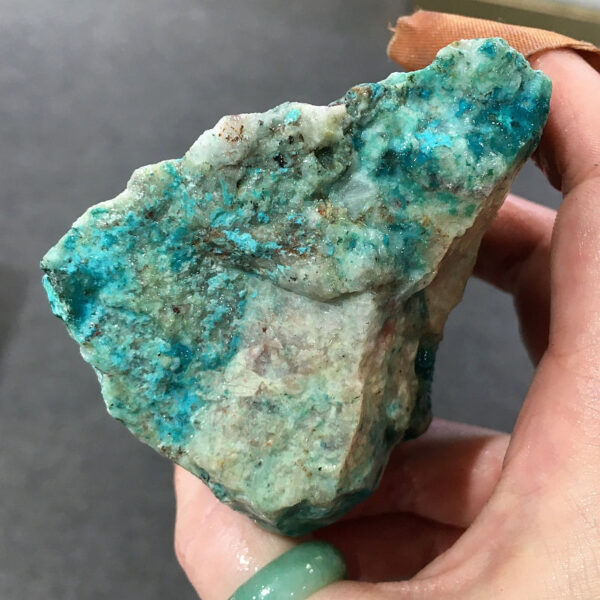 0.70 pound piece of Teal Turq Rhyolite rough rock, pictured wet. Side four of five sides.