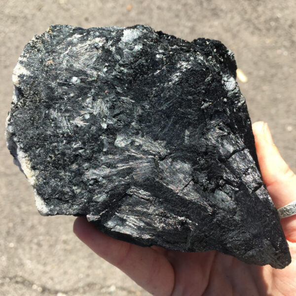 1.56 pound piece of Velvet Black Tourmaline rough rock, pictured dry in sunlight. Side six of six sides.