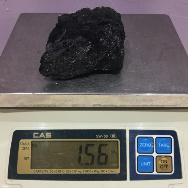 A piece of Velvet Black Tourmaline rough rock pictured on a scale. Piece weighs 1.56 pounds.