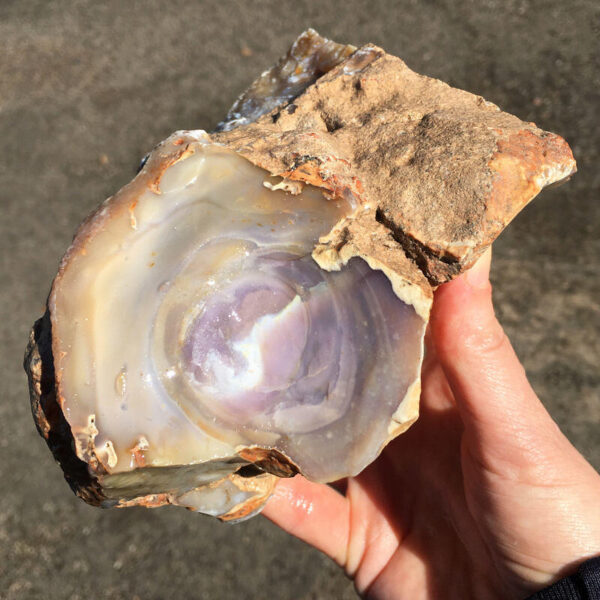 Purple Burro Jasper 3.92 lbs - Image 2