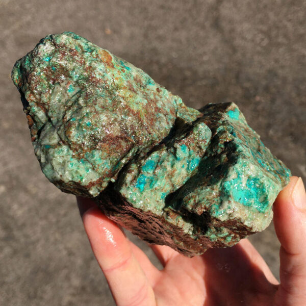 TealTurq Rhyolite 1.50 lbs