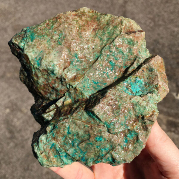 TealTurq Rhyolite 1.50 lbs - Image 2