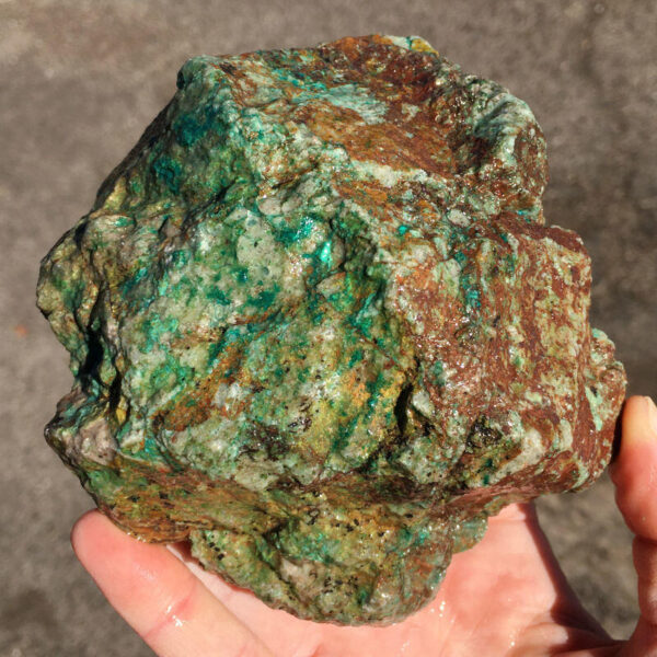 TealTurq Rhyolite 1.50 lbs - Image 3