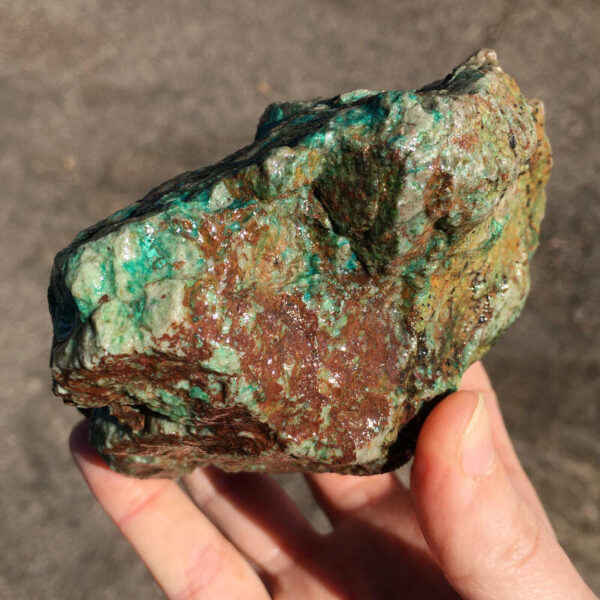 TealTurq Rhyolite 1.50 lbs - Image 4