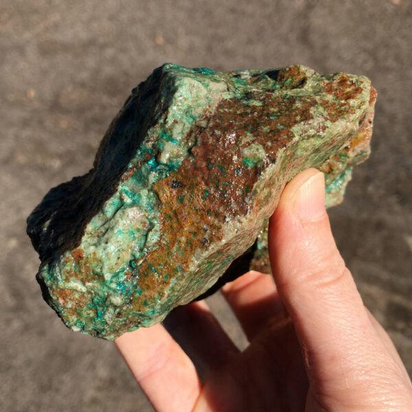 TealTurq Rhyolite 1.50 lbs - Image 5