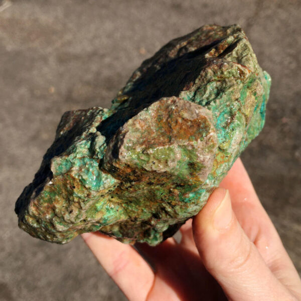 TealTurq Rhyolite 1.50 lbs - Image 6