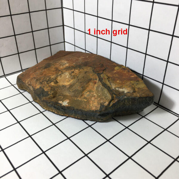 Tiger Eye 2.24 lbs - Image 7