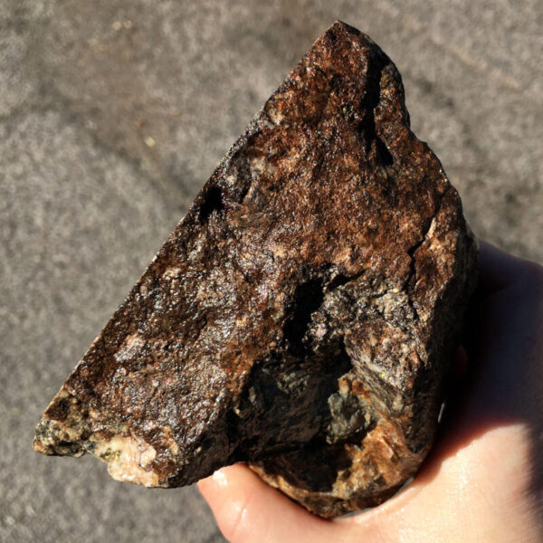 Breccia de Oro 3.44 lbs - Image 3