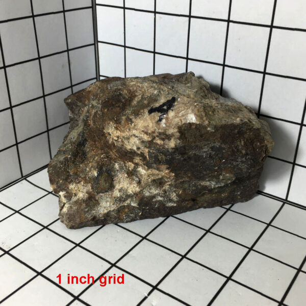 Breccia de Oro 3.44 lbs - Image 8