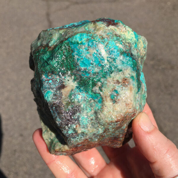 TealTurq Rhyolite 0.94 lbs - Image 2