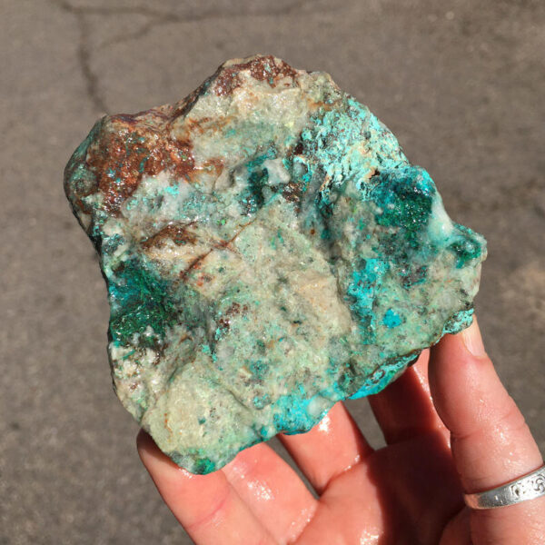 TealTurq Rhyolite 0.94 lbs - Image 4