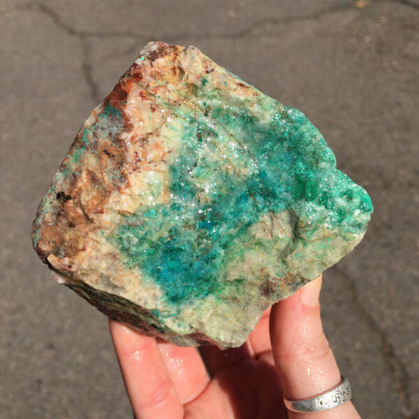 TealTurq Rhyolite 1.20lbs - Image 2