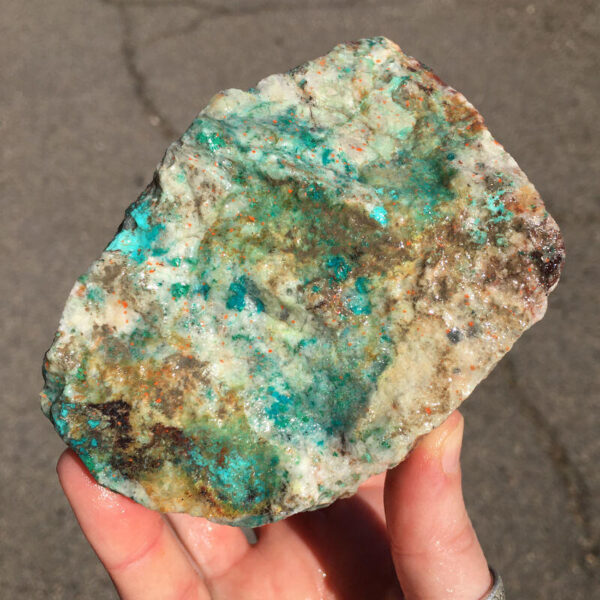 TealTurq Rhyolite 1.20lbs - Image 3